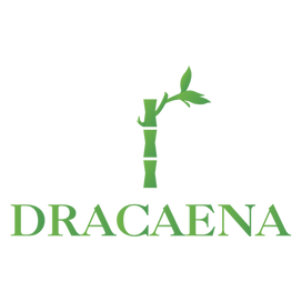 dracaena
